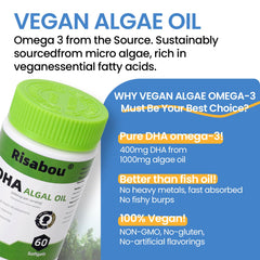 Illustration showing brain and memory support from vegan DHA softgels