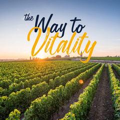 Vegan, gluten-free, non-GMO certification label