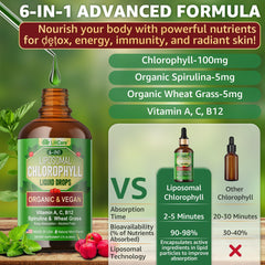 Vegan gluten-free plant-based supplement ingredients