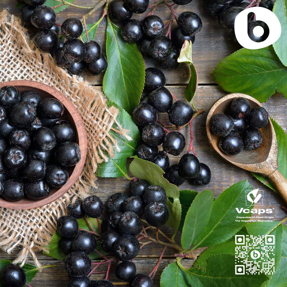 Vegan and gluten-free certification icons