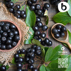 Vegan and gluten-free certification icons