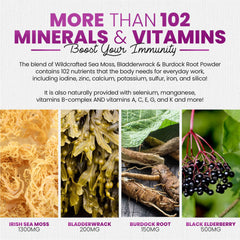 Vegan, non-GMO sea moss gummies with elderberry