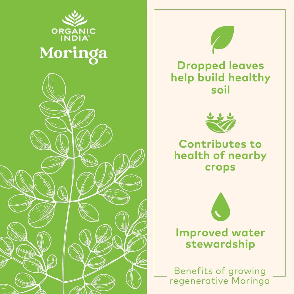 Vegan plant-based protein source from moringa powder
