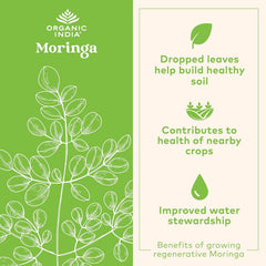 Vegan plant-based protein source from moringa powder