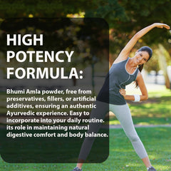 Vegan natural Bhumi Amla powder packaging