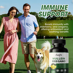 Vegan and Non-GMO mullein oregano capsules