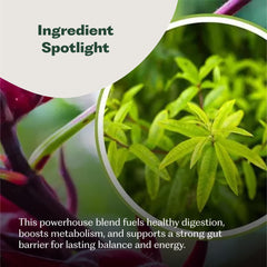 Vegan, non-GMO clean-label supplement