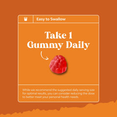 Vegan non-GMO gluten-free kosher Vitamin B6 gummies packaging