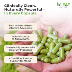 Vegan non-GMO moringa supplement label
