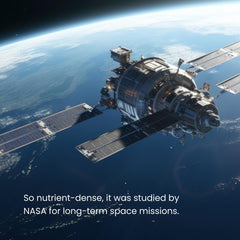 Vegan non-GMO spirulina tablets