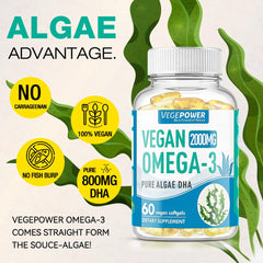 Graphic illustrating sustainable algae oil as a plant-based DHA source