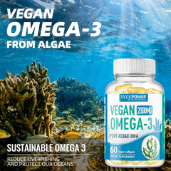 Graphic showing heart, brain, and joint health benefits