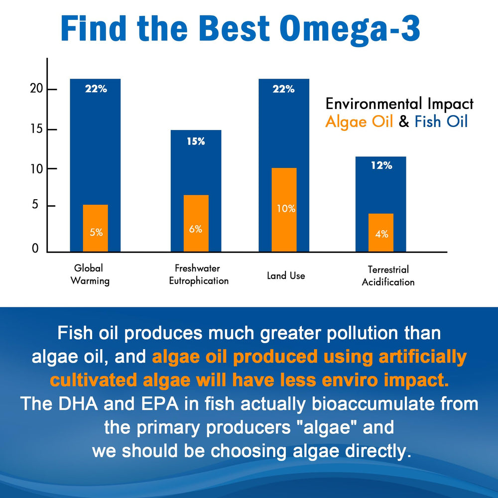 Two-pack bottles of vegan omega-3 gummies