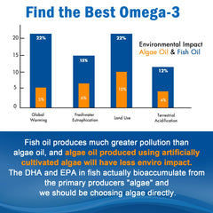 Two-pack packaging of vegan omega-3 gummies