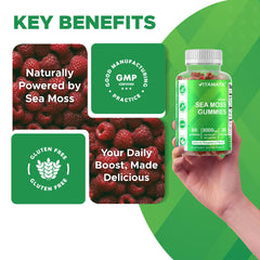 Vegan pectin-based sea moss gummies