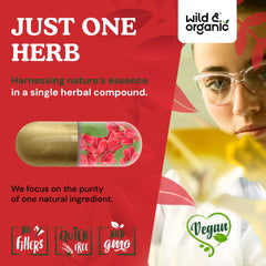 Plant-based vegan capsule coating