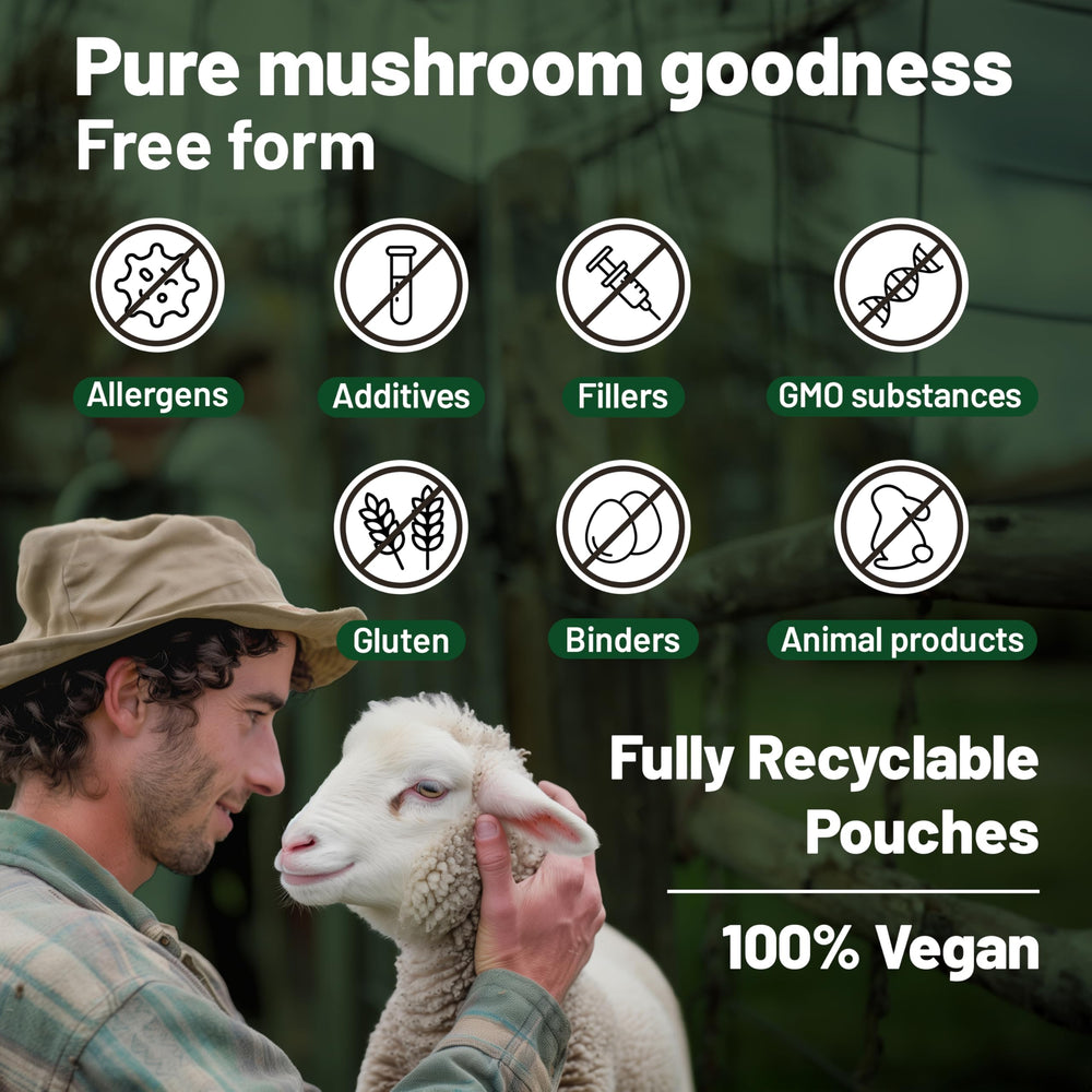 Mushroom complex supporting focus, energy and memory