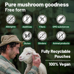 Mushroom complex supporting focus, energy and memory