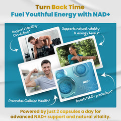 15-in-1 formula highlight of VEGATOT NAD+ Boosting Complex