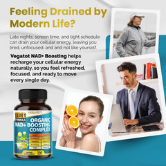 Two-capsule serving of VEGATOT NAD+ Boosting Complex
