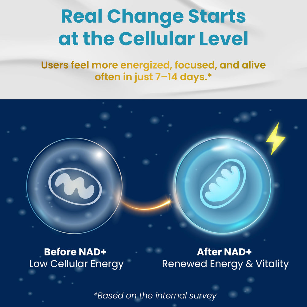 Ingredients included in VEGATOT NAD+ Boosting Complex