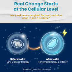 Ingredients included in VEGATOT NAD+ Boosting Complex