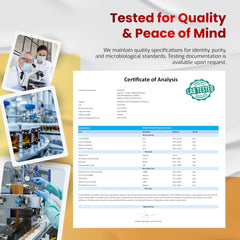 VEGATOT Testo Support capsules displayed with fitness gear for gym-ready routine.