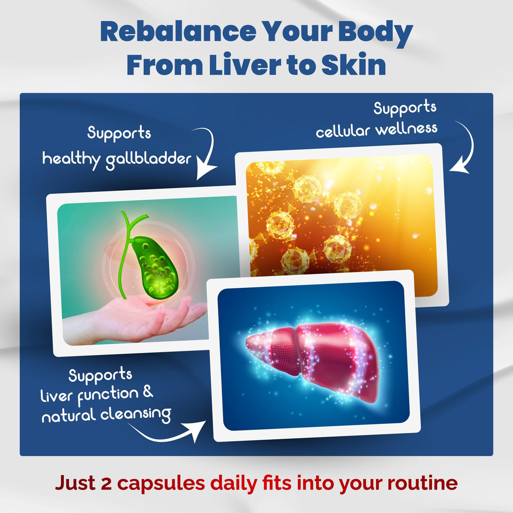 Beet root illustration representing Beet Root ingredient