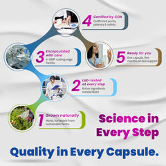 Healthy aging, immune support, brain health and joint support concept