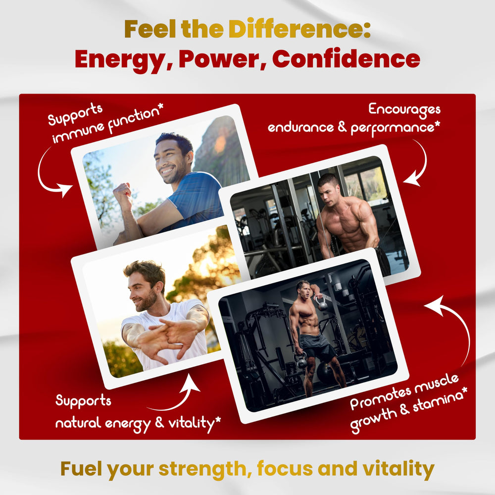 Illustration of Yohimbine, Tongkat Ali, Tribulus, Maca, Fenugreek, Panax Ginseng and Vitamin C