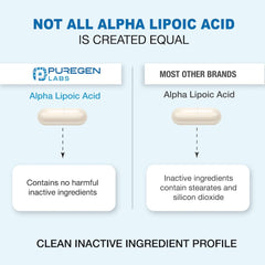 Antioxidant support and metabolism benefits graphic