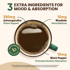 Graphic showing focus and energy benefits of the mushroom powder