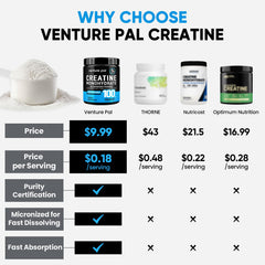 Micronized creatine powder showing fine texture