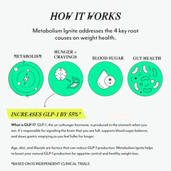 Green Coffee Bean Extract ingredient illustration