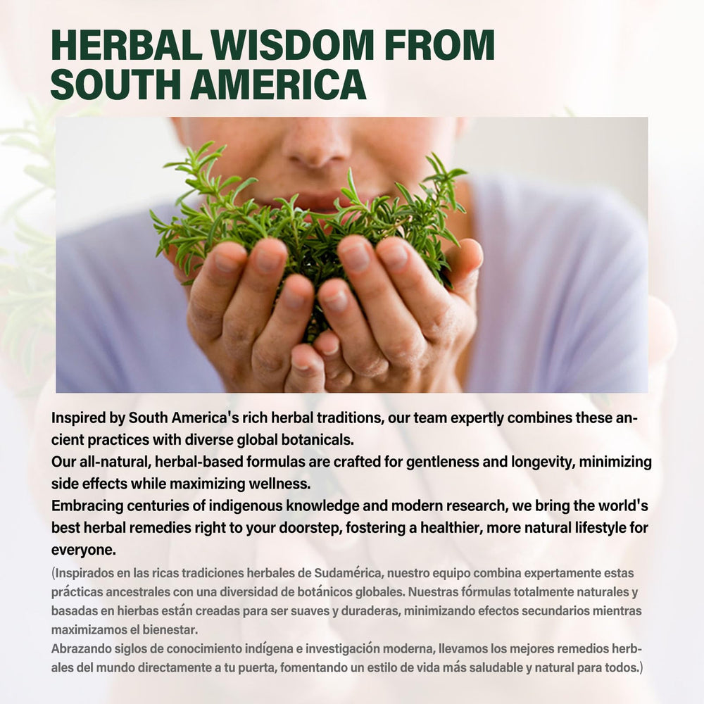 Cocolmeca root extract (Smilax aristolochiifolia) representation