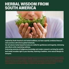 Immunity support concept with berries and turmeric