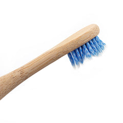 VeriFresh Sonic toothbrush replacement heads compatibility