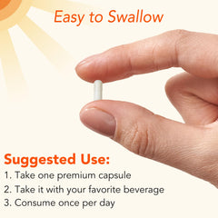 Calcium absorption and utilization concept