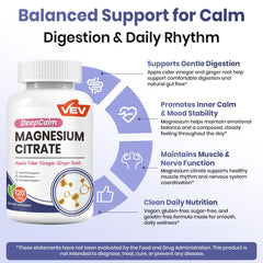 Illustration of apple cider vinegar and ginger ingredients used in DeepCalm