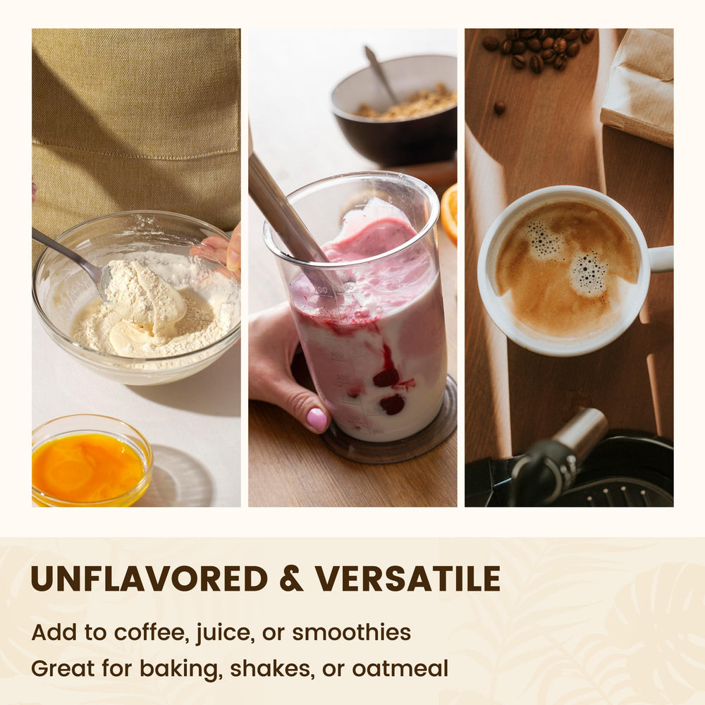 Gluten-free and GMO-free collagen ingredients