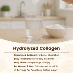 Illustration of collagen types I, II, III, V, and X