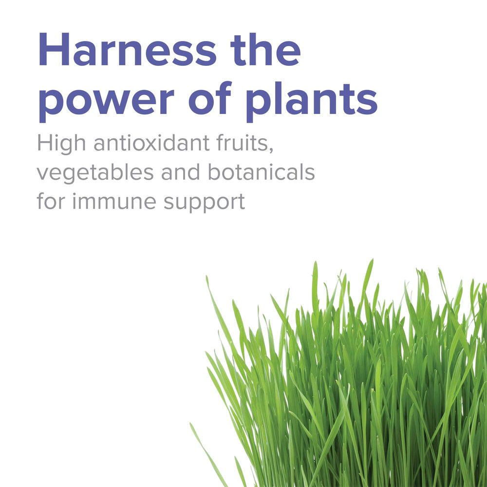 Vibrant Health Spectrum Vibrance container label highlighting 30 servings