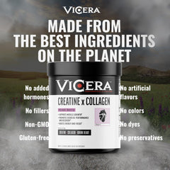 Close-up of VICERA Creatine + Collagen Berry label