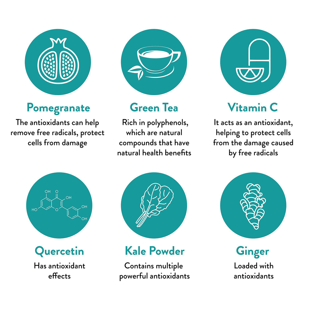 VIDAPURA travel-16-serving bag—convenient for on-the-go resets.