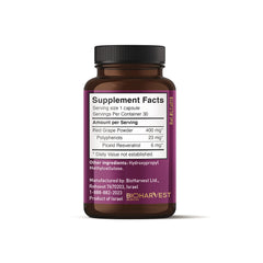 VINIA keto-friendly powder and capsules