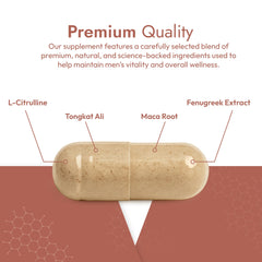 VIRNOUX Fortim-bottle-pour captures easy daily intake for energy and mood.