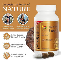 Natural antioxidants from Reishi mushrooms illustration