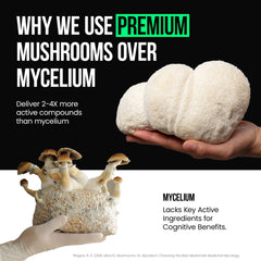 Capsules with black pepper for VitaRaw Lions Mane bioavailability