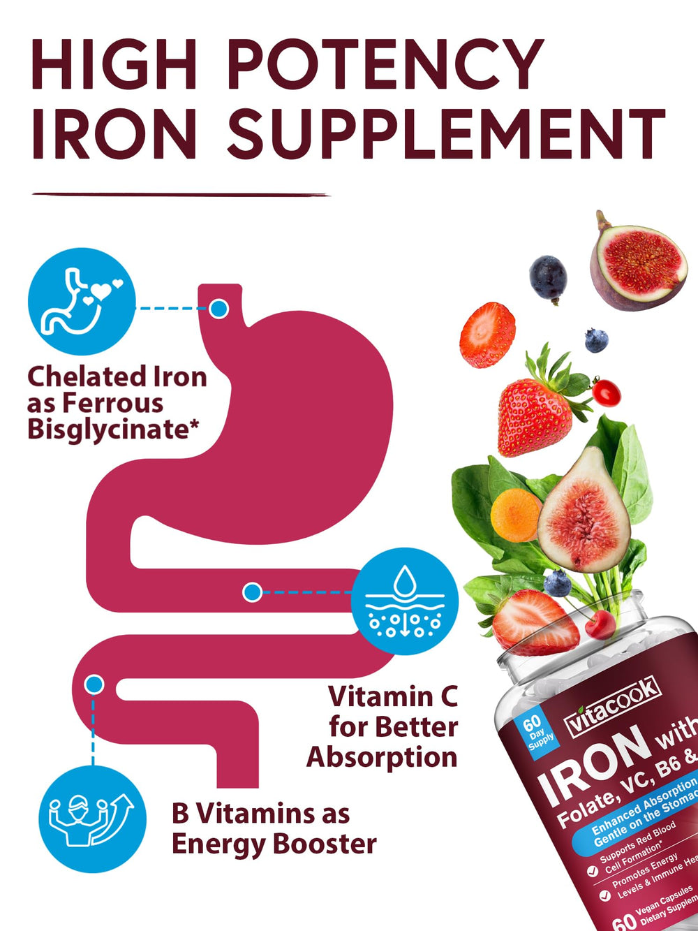 Diagram showing iron absorption enhanced by Vitamin C