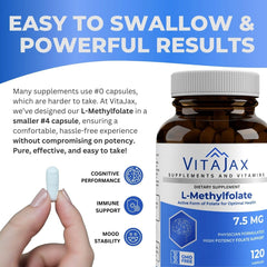 Brain function and mood support visual for VitaJax